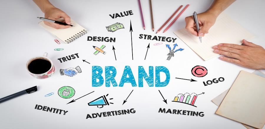 Brand Management & Development