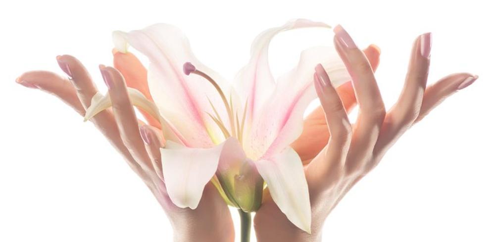 Artificial Flowers vs Fresh Flowers Which Lasts Longe