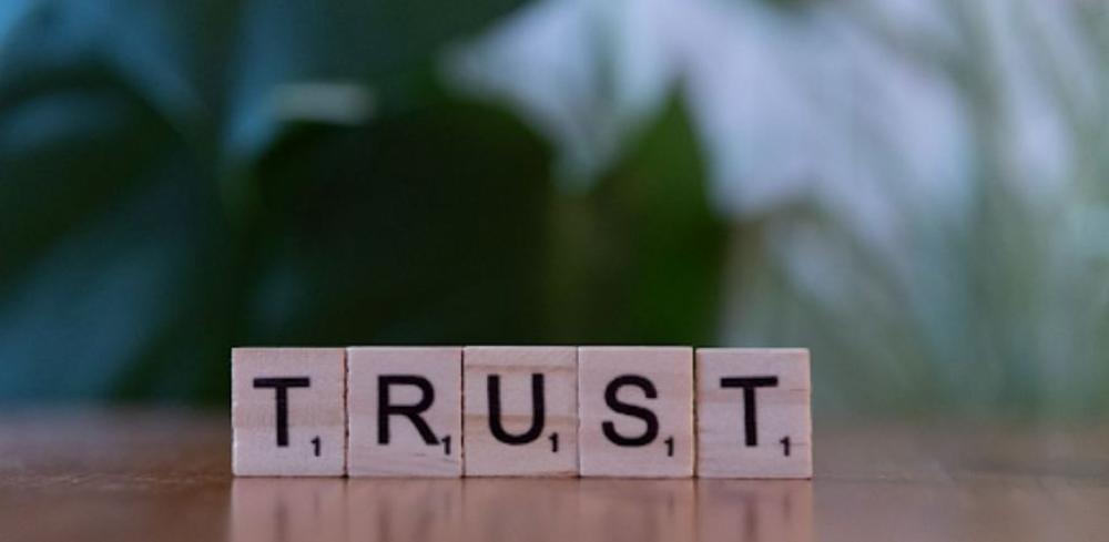 The Role of Trust Signals in High-Competition Online Niches