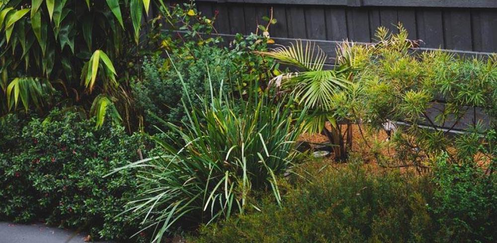 Why A Plus Landscaping Uses Native Plants Sustainably