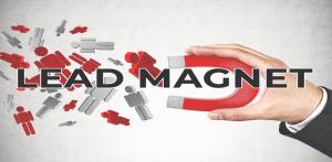 what are lead magnets