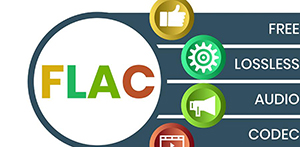 How to Fix Audio Codec Not Supported