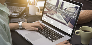 how drupal developers can help you build ecommerce solutions