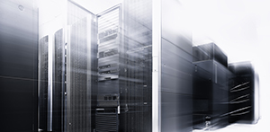 MilesWeb WordPress Hosting for Your WordPress Site