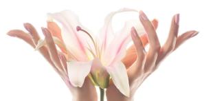 Artificial Flowers vs Fresh Flowers Which Lasts Longe