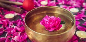 Fake Flowers vs Fresh Flowers Which Lasts Longer