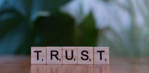The Role of Trust Signals in High-Competition Online Niches